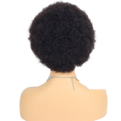 Short Wigs Human Hair Afro Kinky Curly